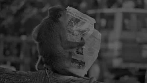 blog